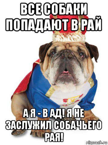 все собаки попадают в рай а я - в ад! я не заслужил собачьего рая!