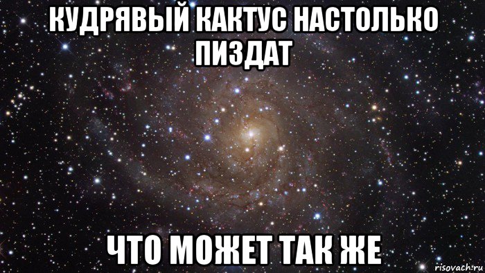 кудрявый кактус настолько пиздат что может так же, Мем  Космос (офигенно)