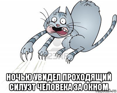  ночью увидел проходящий силуэт человека за окном, Мем Кот для испуга