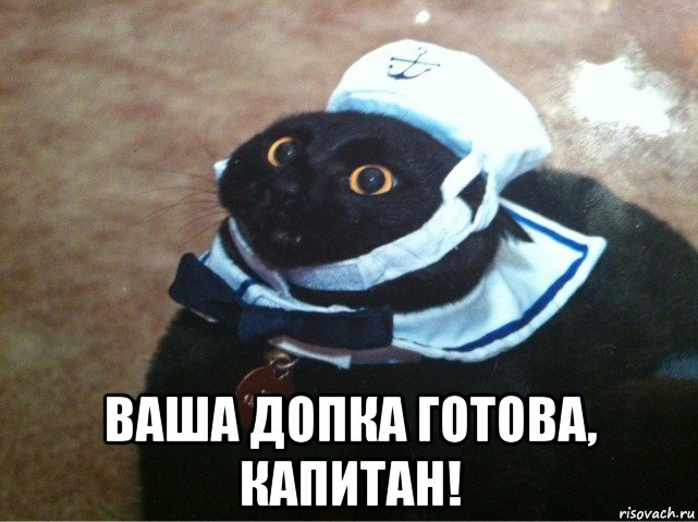  ваша допка готова, капитан!, Мем Кот-матрос