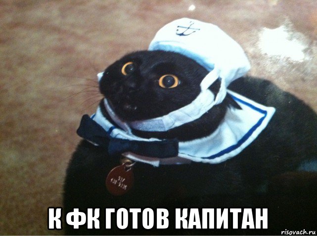  к фк готов капитан, Мем Кот-матрос