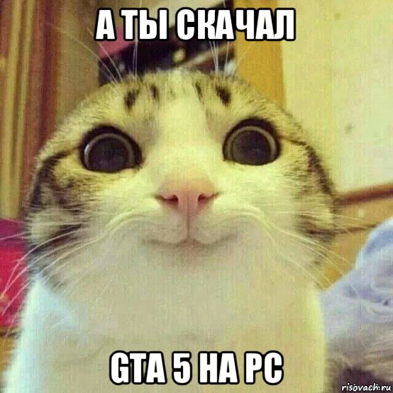 а ты скачал gta 5 на pc, Мем       Котяка-улыбака