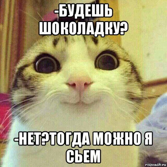 -будешь шоколадку? -нет?тогда можно я сьем, Мем       Котяка-улыбака