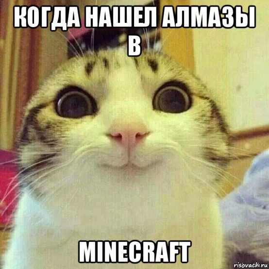 когда нашел алмазы в minecraft, Мем       Котяка-улыбака