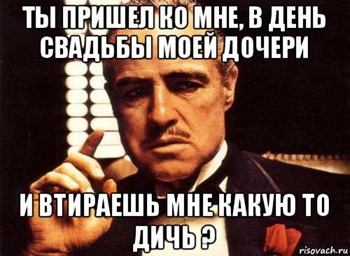 ты пришел ко мне, в день свадьбы моей дочери и втираешь мне какую то дичь ?, Мем крестный отец