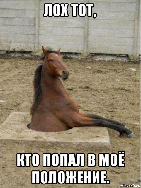 лох тот, кто попал в моё положение., Мем лошадь в люке