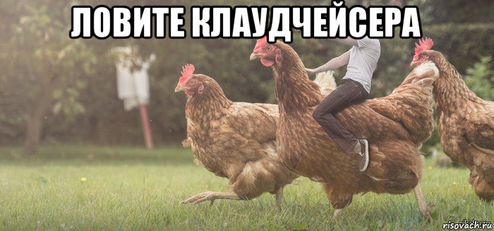 ловите клаудчейсера 