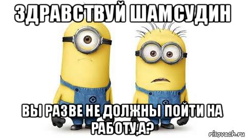 здравствуй шамсудин вы разве не должны пойти на работу,а?, Мем Миньоны