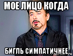 мое лицо когда бигль симпатичнее