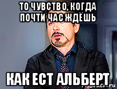 то чувство, когда почти час ждёшь как ест альберт