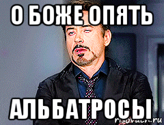 о боже опять альбатросы