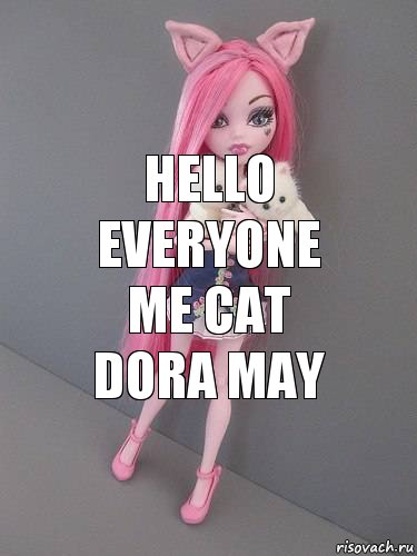 Hello everyone me Cat Dora may