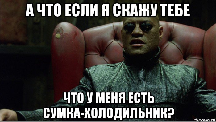 а что если я скажу тебе что у меня есть сумка-холодильник?, Мем Морфеус что если я скажу тебе