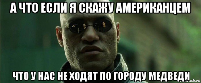 а что если я скажу американцем что у нас не ходят по городу медведи, Мем  морфеус