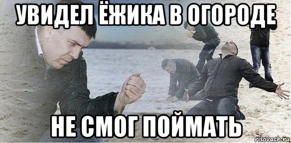 увидел ёжика в огороде не смог поймать, Мем Мой друг долбоеб
