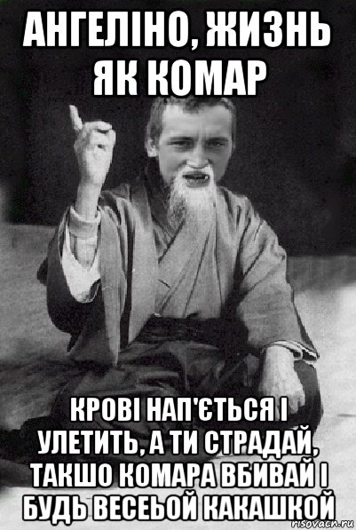 ангеліно, жизнь як комар крові нап'ється і улетить, а ти страдай, такшо комара вбивай і будь весеьой какашкой, Мем Мудрий паца