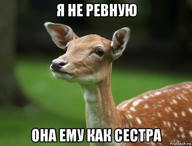 я не ревную она ему как сестра