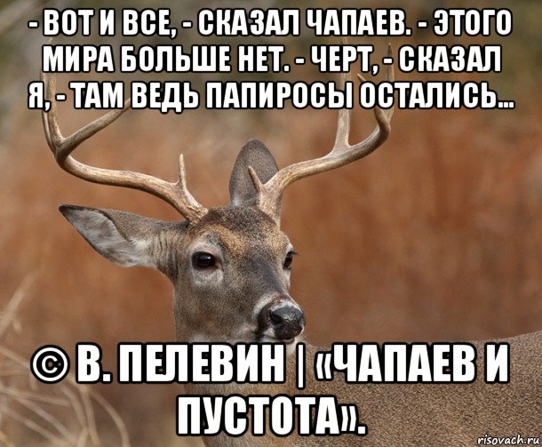 - вот и все, - сказал чапаев. - этого мира больше нет. - черт, - сказал я, - там ведь папиросы остались… © в. пелевин | «чапаев и пустота»., Мем  Наивный Олень v2