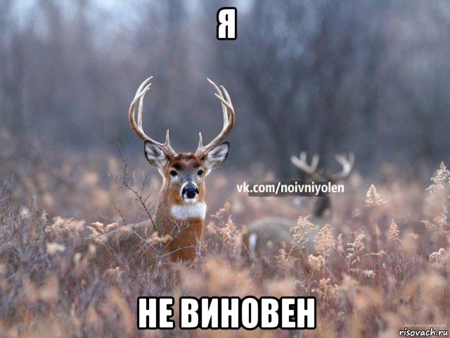 я не виновен