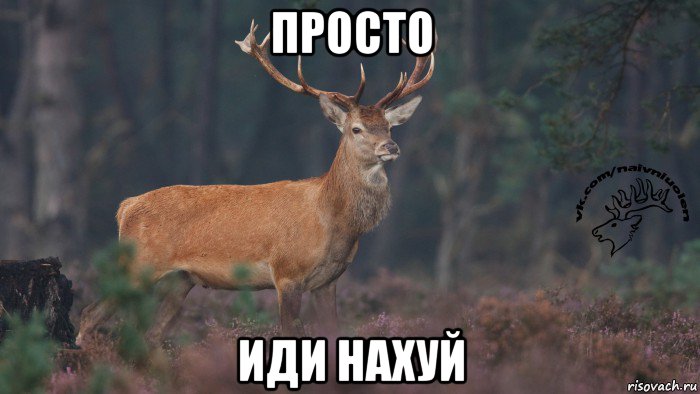 просто иди нахуй