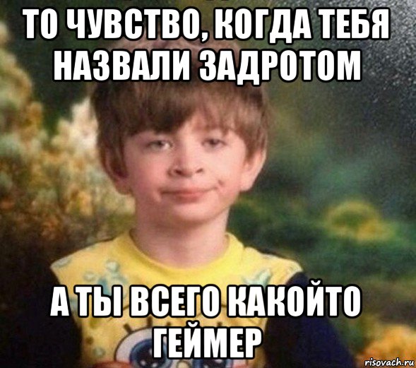 то чувство, когда тебя назвали задротом а ты всего какойто геймер, Мем Недовольный пацан