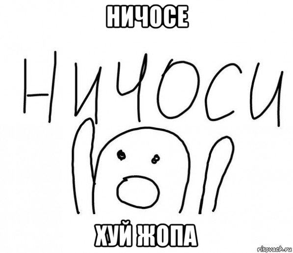 ничосе хуй жопа, Мем  Ничоси