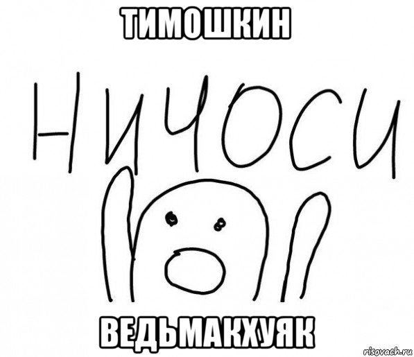 тимошкин ведьмакхуяк, Мем  Ничоси