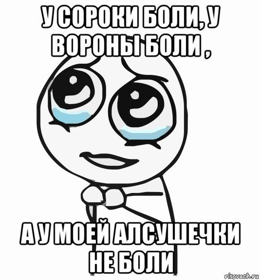 у сороки боли, у вороны боли , а у моей алсушечки не боли, Мем  ну пожалуйста (please)