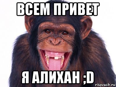 всем привет я алихан ;d