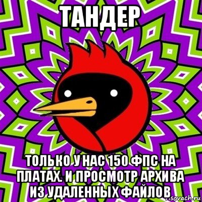 тандер только у нас 150 фпс на платах. и просмотр архива из удаленных файлов, Мем Омская птица