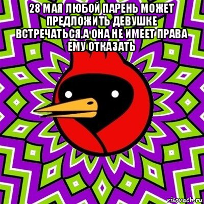 28 мая любой парень может предложить девушке встречаться,а она не имеет права ему отказать , Мем Омская птица