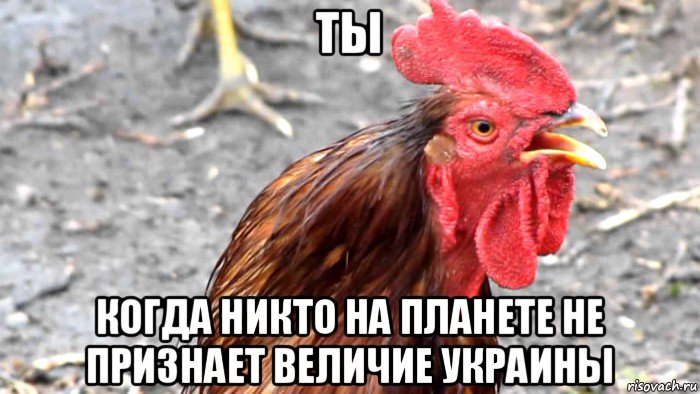 ты когда никто на планете не признает величие украины