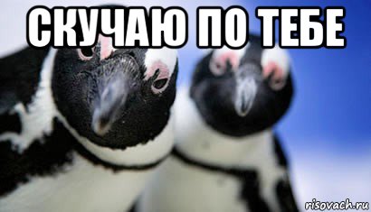 скучаю по тебе 