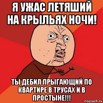 я ужас летяший на крыльях ночи! ты дебил прыгающий по квартире в трусах и в простыне!!!, Мем Почему