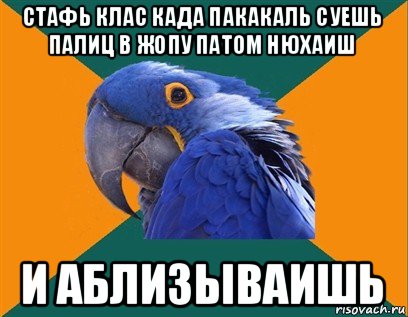 стафь клас када пакакаль суешь палиц в жопу патом нюхаиш и аблизываишь, Мем Попугай параноик