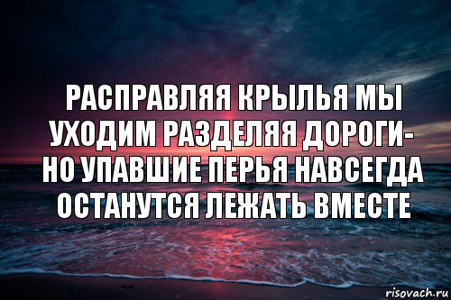 Расправляя крылья мы уходим разделяя дороги- но упавшие перья навсегда останутся лежать вместе