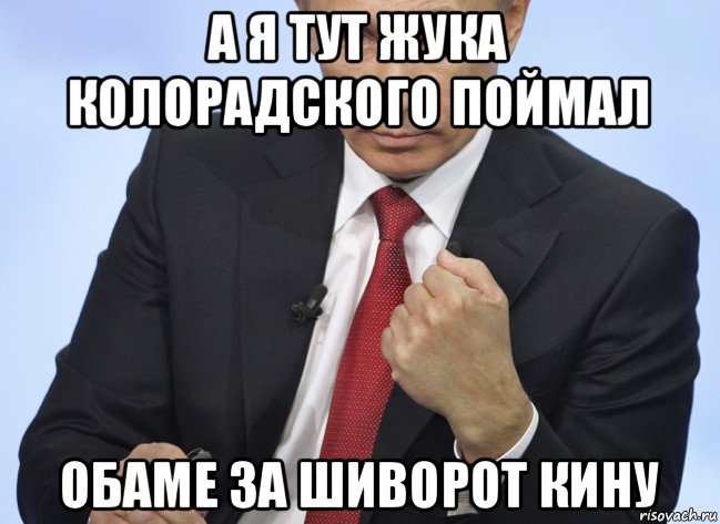 а я тут жука колорадского поймал обаме за шиворот кину, Мем Путин показывает кулак