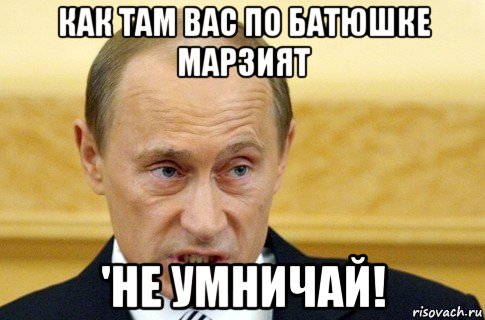 как там вас по батюшке марзият 'не умничай!, Мем путин