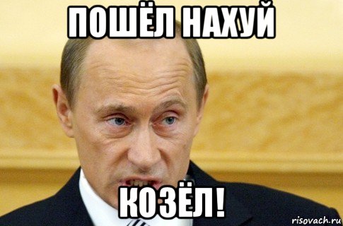 пошёл нахуй козёл!, Мем путин