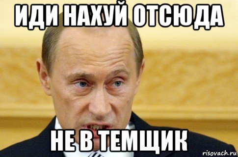 иди нахуй отсюда не в темщик, Мем путин