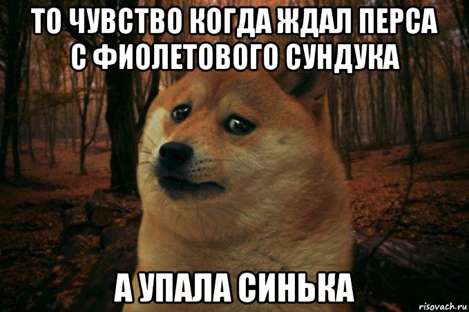 то чувство когда ждал перса с фиолетового сундука а упала синька, Мем SAD DOGE