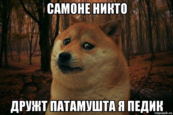 самоне никто дружт патамушта я педик, Мем SAD DOGE