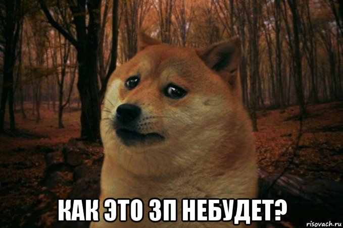  как это зп небудет?, Мем SAD DOGE