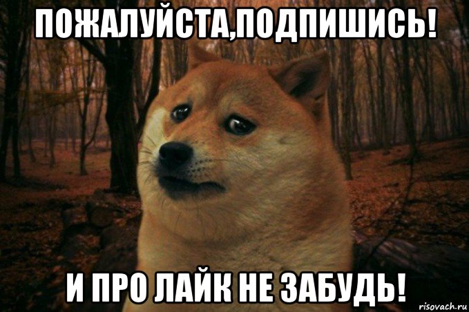 пожалуйста,подпишись! и про лайк не забудь!, Мем SAD DOGE