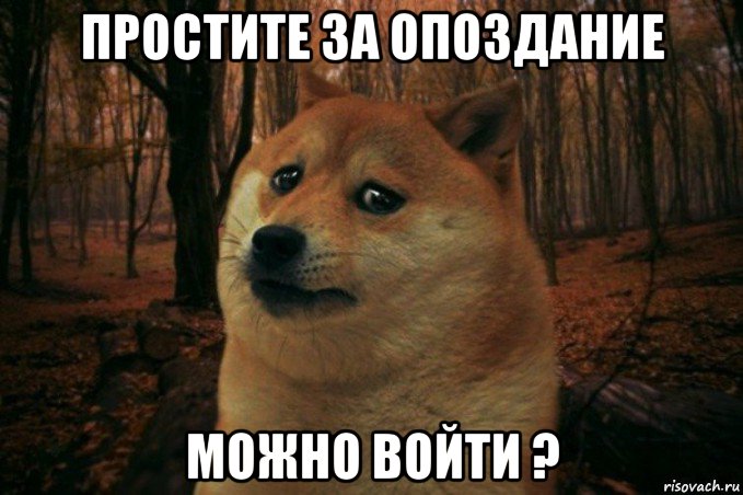 простите за опоздание можно войти ?, Мем SAD DOGE