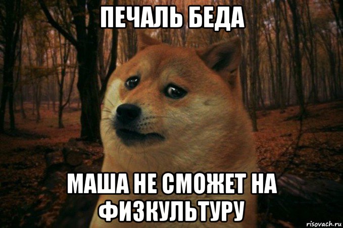 печаль беда маша не сможет на физкультуру, Мем SAD DOGE