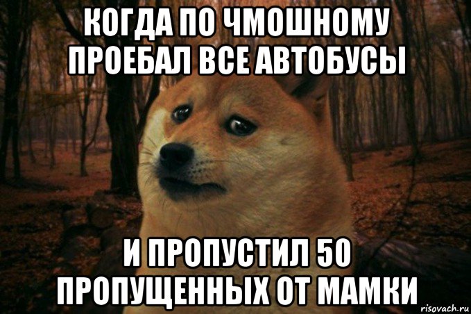 когда по чмошному проебал все автобусы и пропустил 50 пропущенных от мамки, Мем SAD DOGE