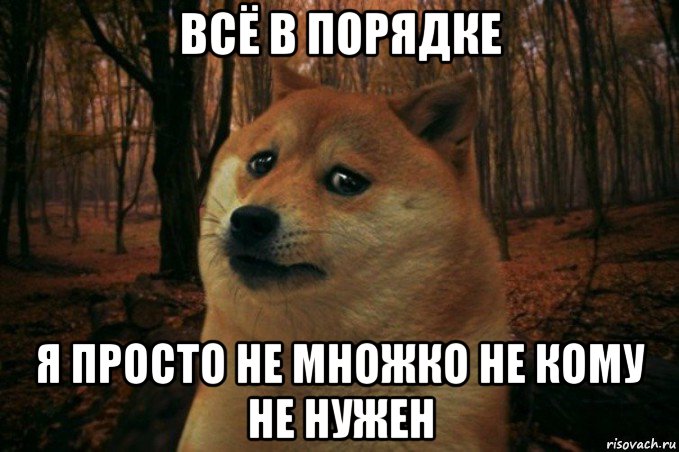 всё в порядке я просто не множко не кому не нужен, Мем SAD DOGE