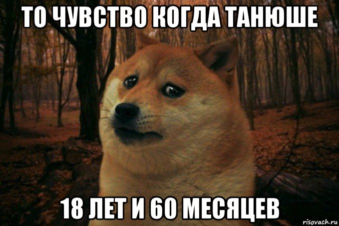 то чувство когда танюше 18 лет и 60 месяцев, Мем SAD DOGE