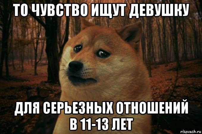 то чувство ищут девушку для серьезных отношений в 11-13 лет, Мем SAD DOGE